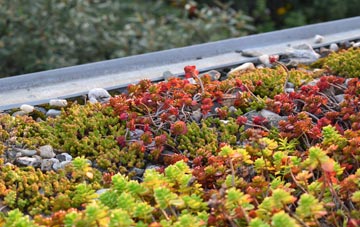 the cost of Appleton Le Street green roof installation