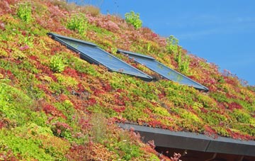 Appleton Le Street living roof systems